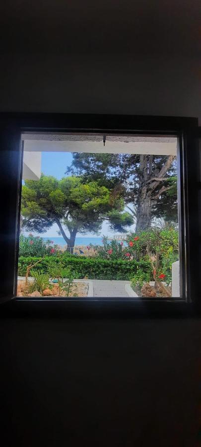 Apartamento Frente Al Mar Alcossebre Eksteriør billede
