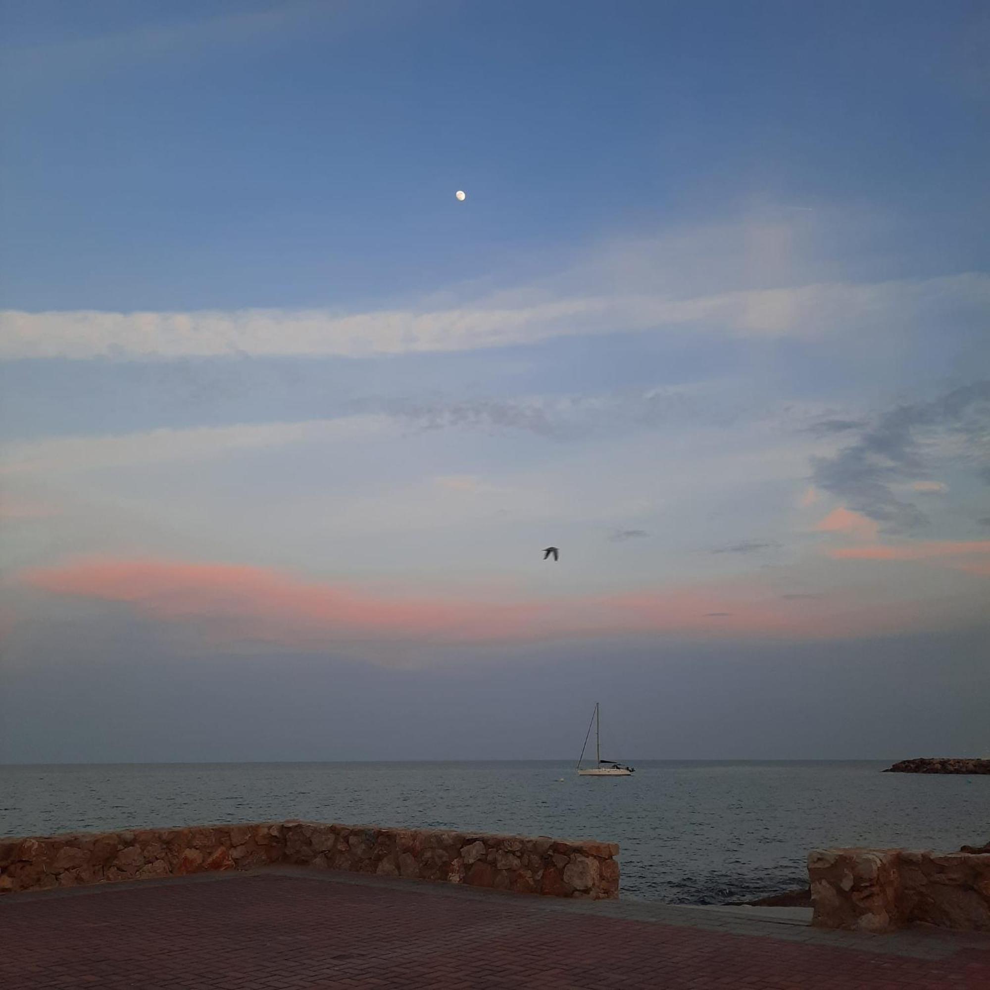 Apartamento Frente Al Mar Alcossebre Eksteriør billede